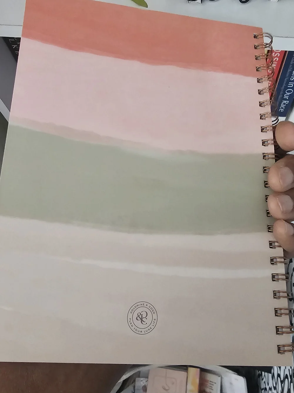 Spiral Appointment Planner Notebook - Coral, Sage & Rose Gold Set